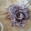 Broche para el pelo o ropa - Imagen 2